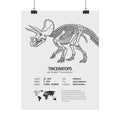 The Triceratops