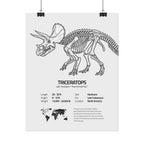 The Triceratops
