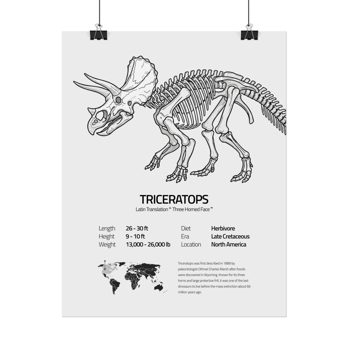The Triceratops