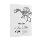 The Spinosaurus