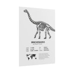 The Brachiosaurus