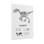 The Velociraptor