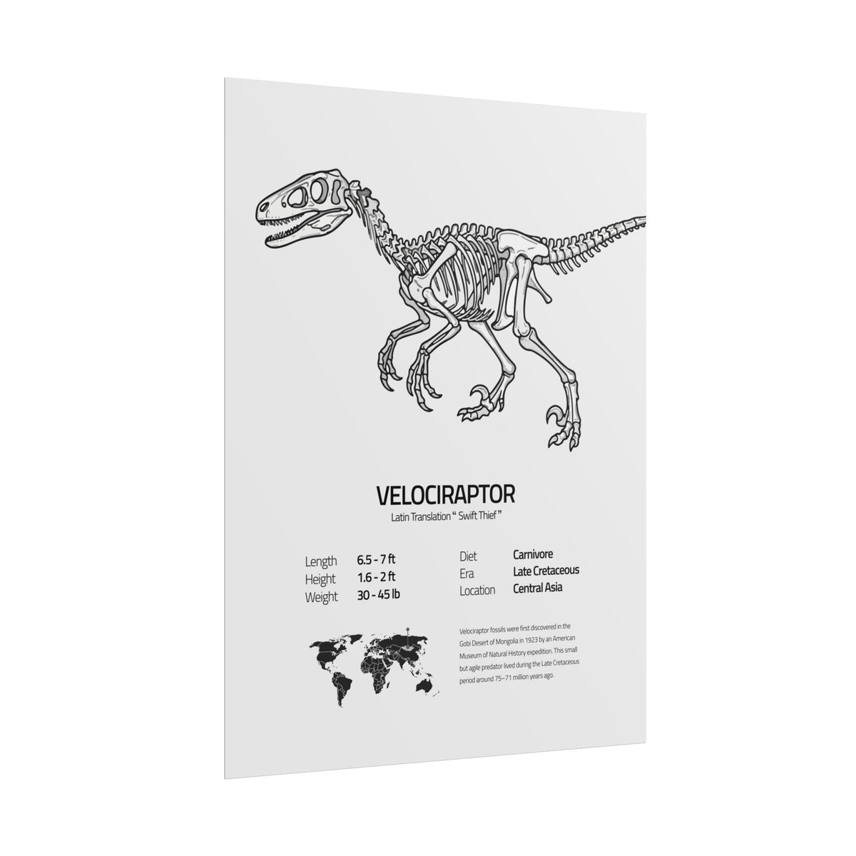 The Velociraptor