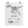 The Velociraptor