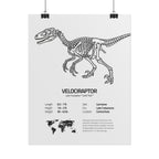 The Velociraptor