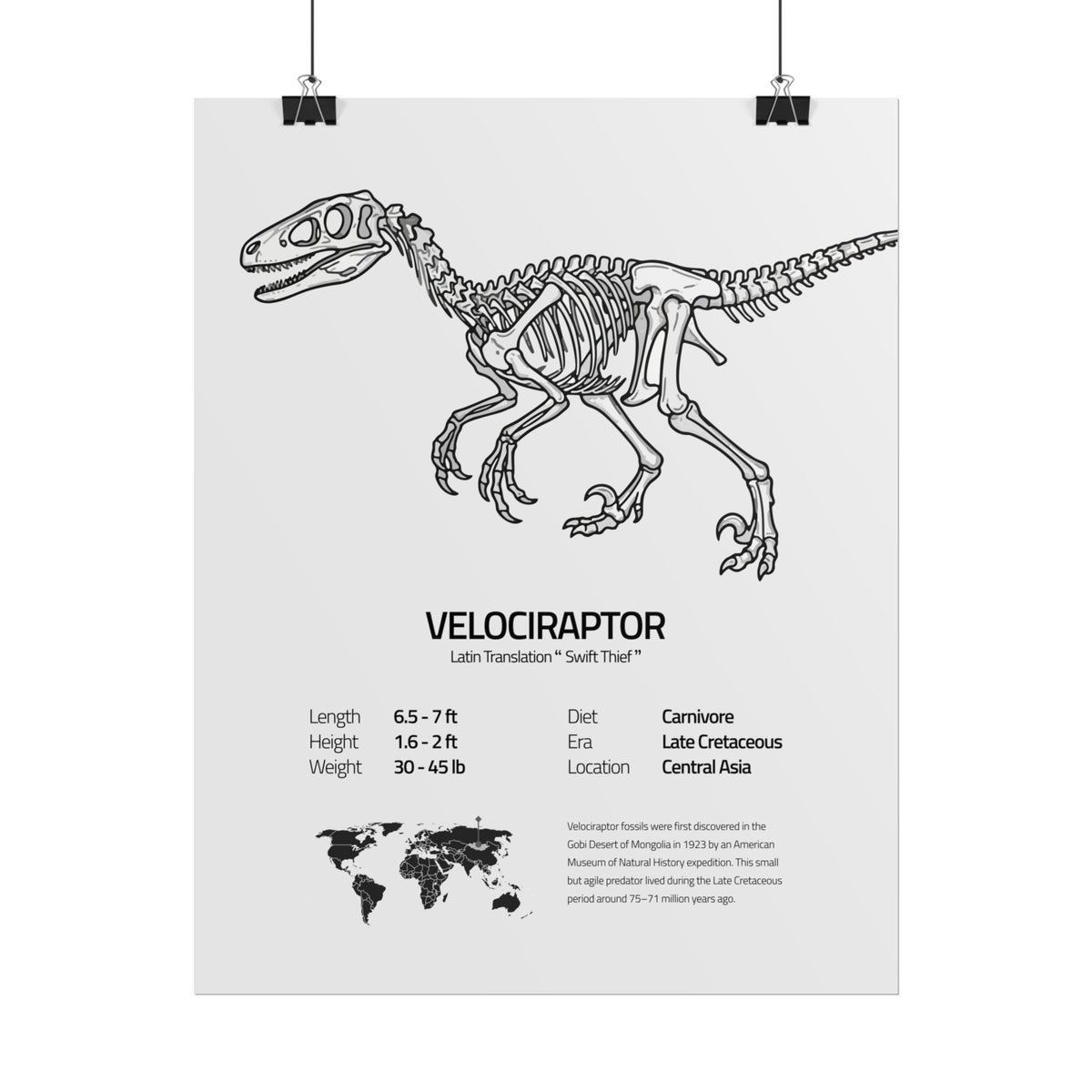 The Velociraptor