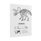 The Triceratops