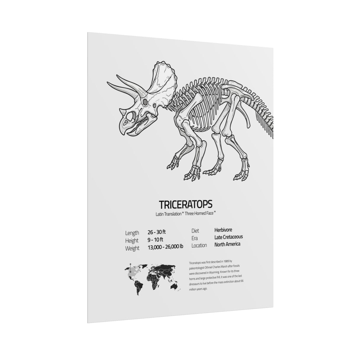 The Triceratops