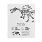 The Spinosaurus