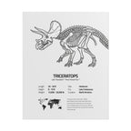The Triceratops