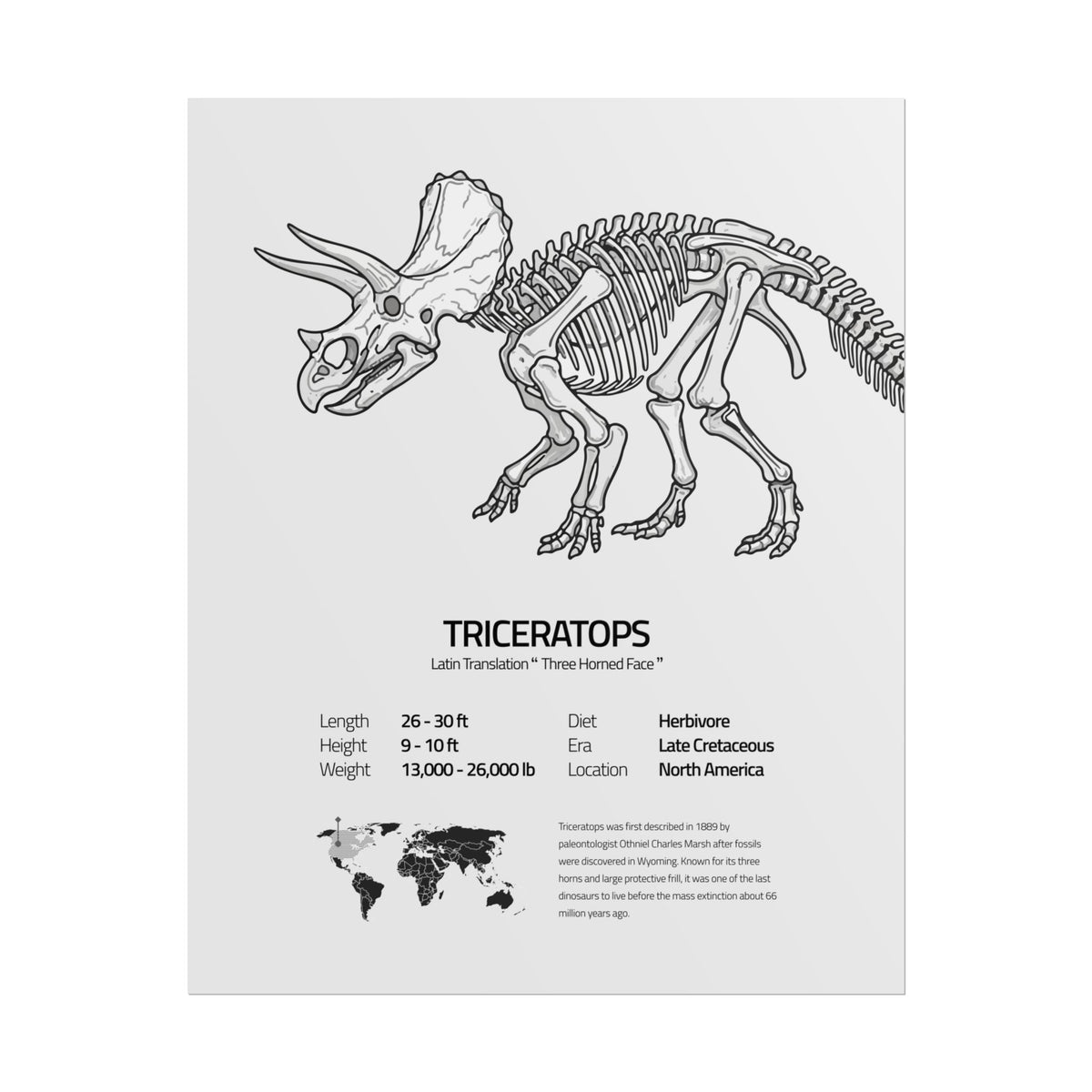 The Triceratops